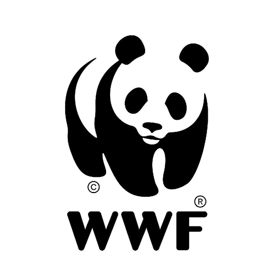International Eco Internship Programme
